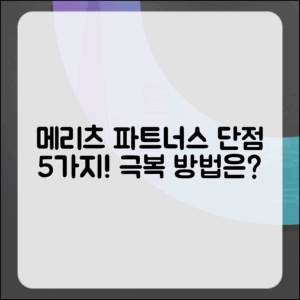 메리츠 파트너스의 단점 5가지 및 극복 방법