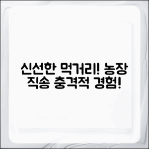 충격적인 신선함! 우리 농장에서 직송하는 먹거리