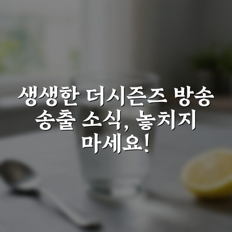 생생한 더시즌즈 방송 송출 소식, 놓치지 마세요!