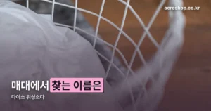 다이소 워싱소다 정리 썸네일