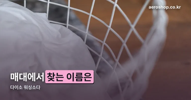 다이소 워싱소다 — 매대에서 찾는 이름은 따로 있습니다