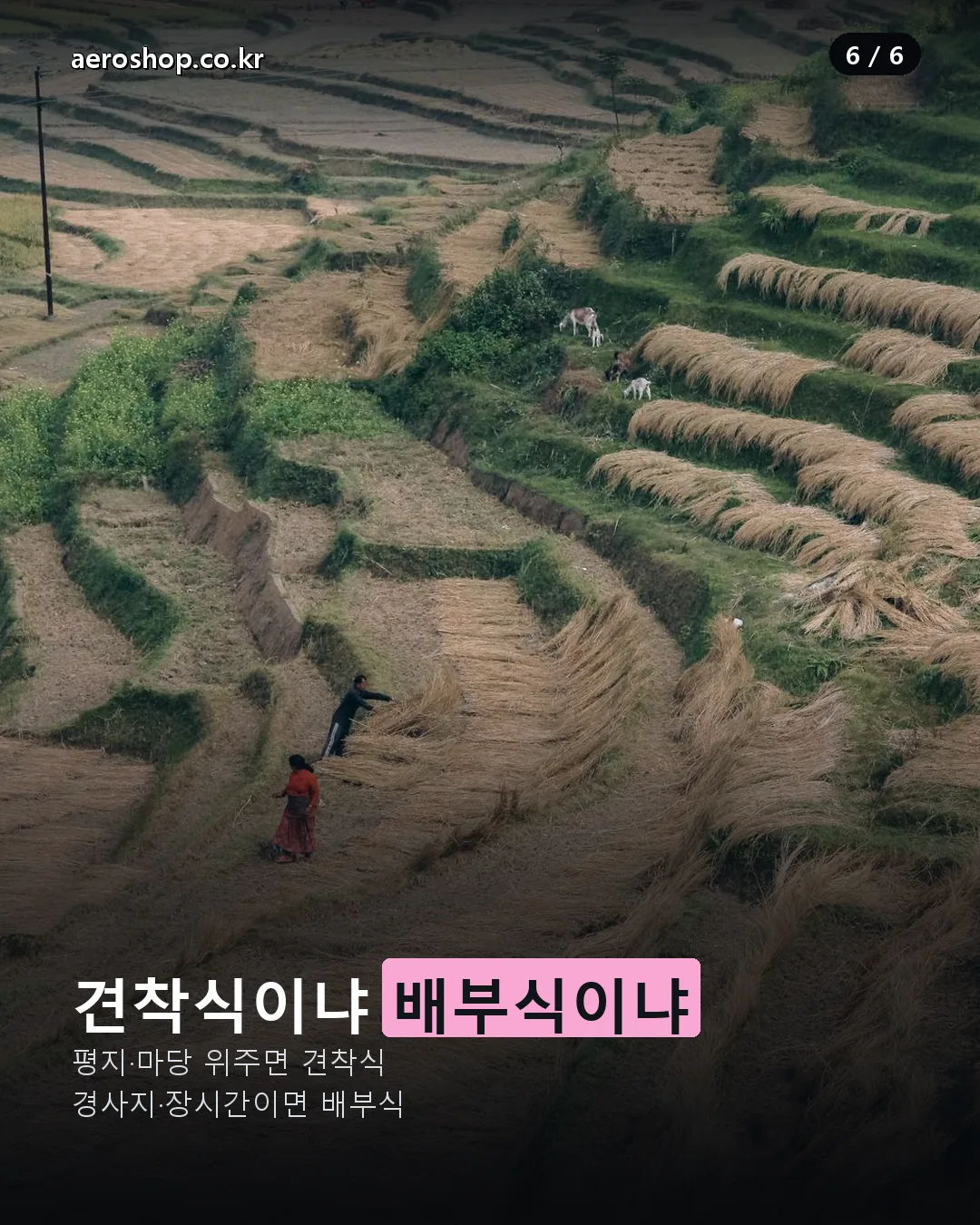 견착식 배부식 예초기 선택 기준