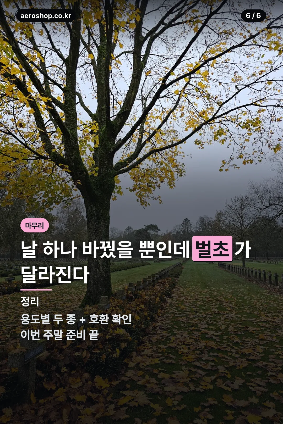 벌초 마무리