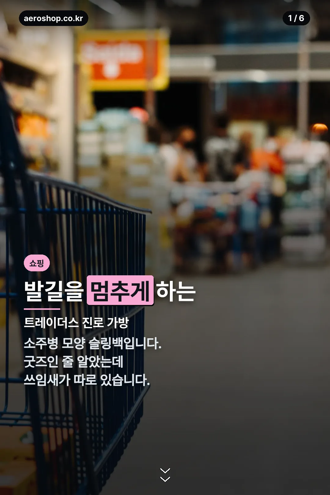 트레이더스 진로 가방 표지