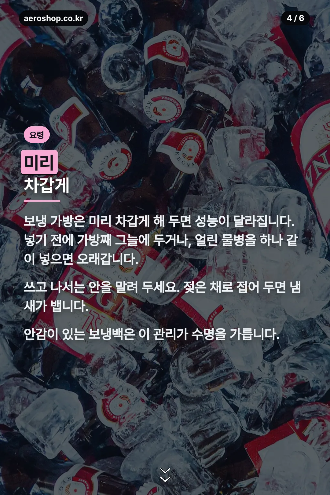 보냉백 관리 요령