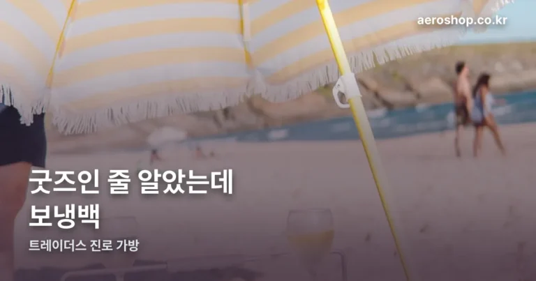 트레이더스 진로 가방 정리 썸네일