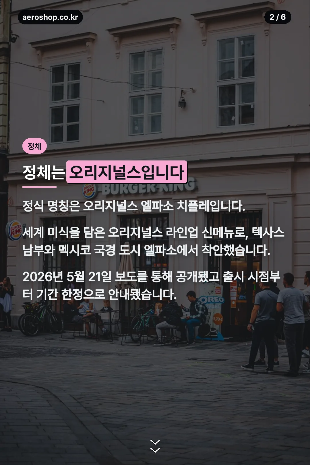 정체와 출시 배경