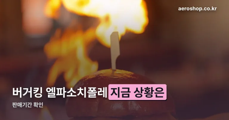 버거킹 엘파소치폴레 — 11월 25일까지 판매합니다