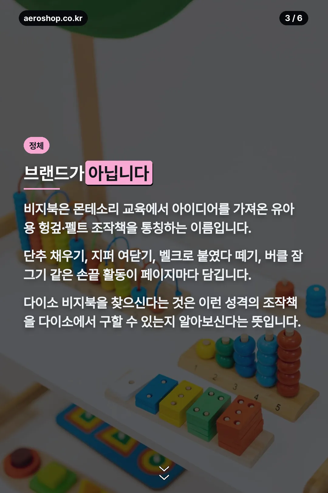 비지북 정체