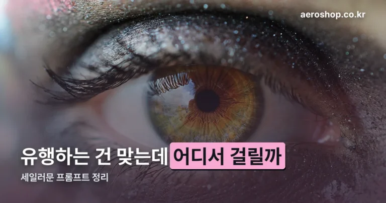 세일러문 프롬프트 유행 정리 — 어떤 도구를 쓰고 어디서 걸리나