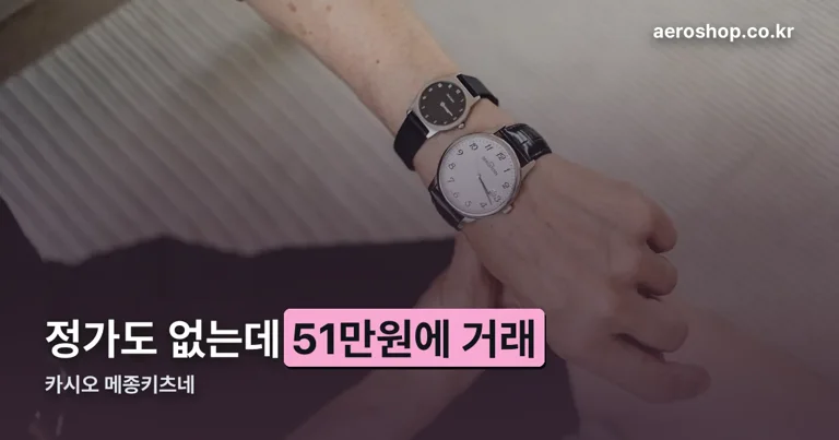 카시오 메종키츠네 정리 썸네일