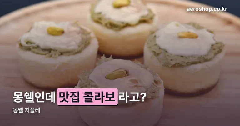 몽쉘 치플레 정리 썸네일