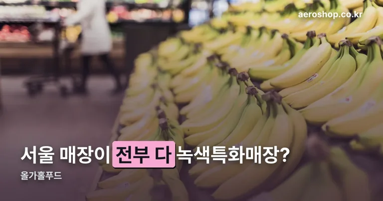 올가홀푸드 정리 썸네일