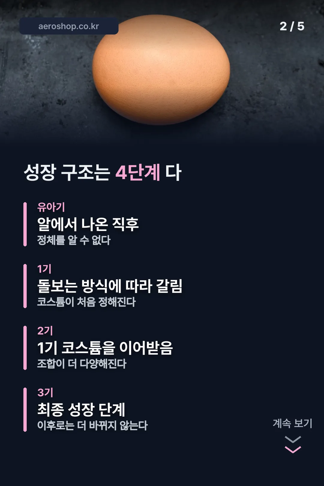 성장 네 단계