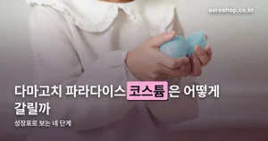다마고치 파라다이스 성장표 — 네 단계, 바뀌는 건 코스튬이다